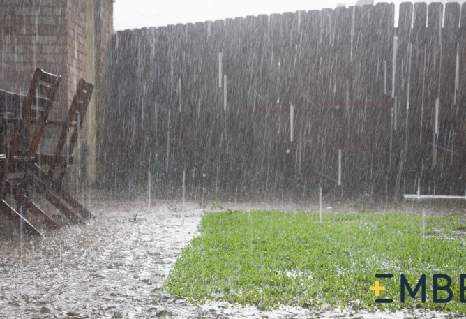 VEry wet grass with strong rain coming down